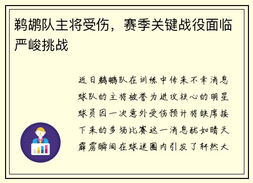鹈鹕队主将受伤，赛季关键战役面临严峻挑战